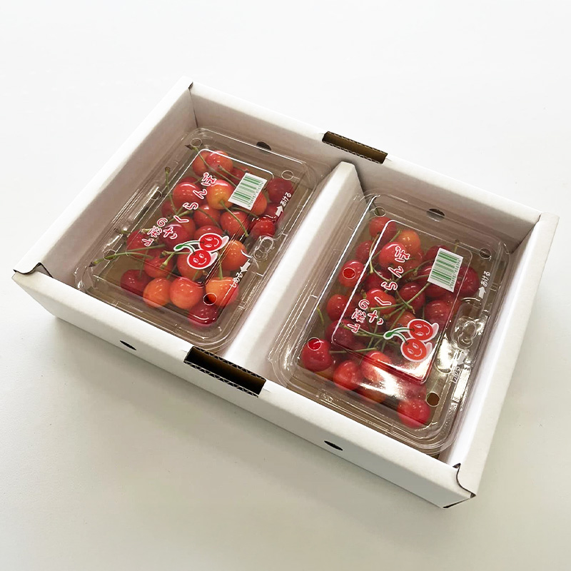 山形さくらんぼ (祝)栽培150周年記念！紅秀峰400g(200g×2パック) L玉 数量限定！【令和8年産先行予約】FS25-110 くだもの 果物 フルーツ 山形 山形県 山形市 2026年産