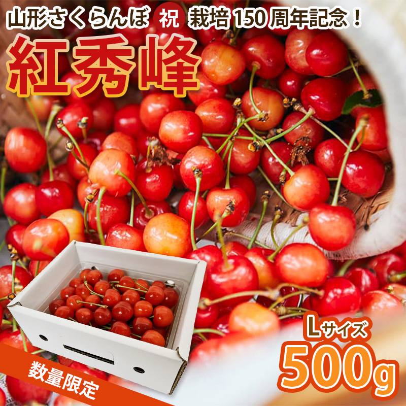 山形さくらんぼ (祝)栽培150周年記念！紅秀峰 500g L玉 数量限定！【令和8年産先行予約】FS25-111 くだもの 果物 フルーツ 山形 山形県 山形市 2026年産