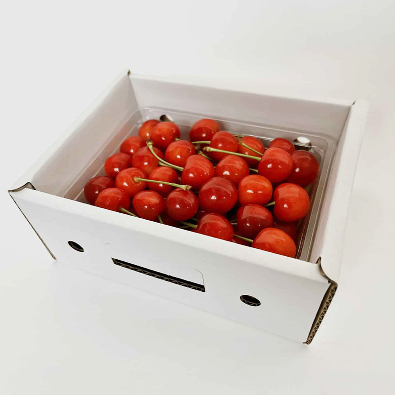 山形さくらんぼ (祝)栽培150周年記念！紅秀峰 500g L玉 数量限定！【令和8年産先行予約】FS25-111 くだもの 果物 フルーツ 山形 山形県 山形市 2026年産