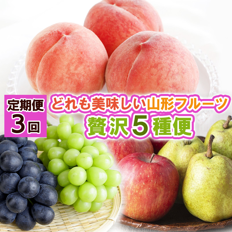 【定期便3回】どれも美味しい 山形フルーツ 贅沢5種便【令和8年産先行予約】FS25-122 くだもの 果物 フルーツ 山形 山形県 山形市 2026年産