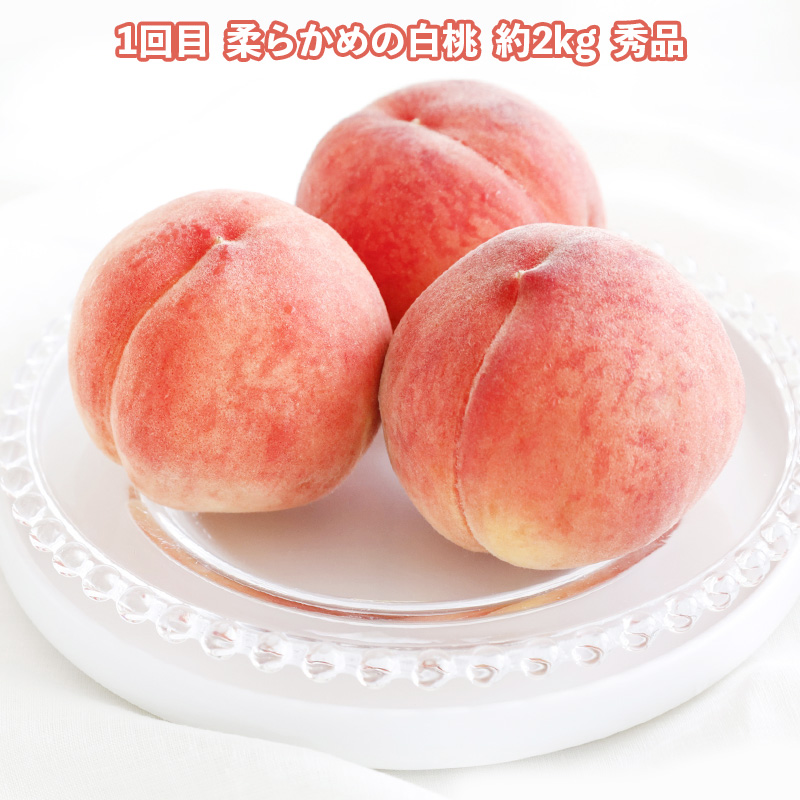 【定期便3回】どれも美味しい 山形フルーツ 贅沢5種便【令和8年産先行予約】FS25-122 くだもの 果物 フルーツ 山形 山形県 山形市 2026年産