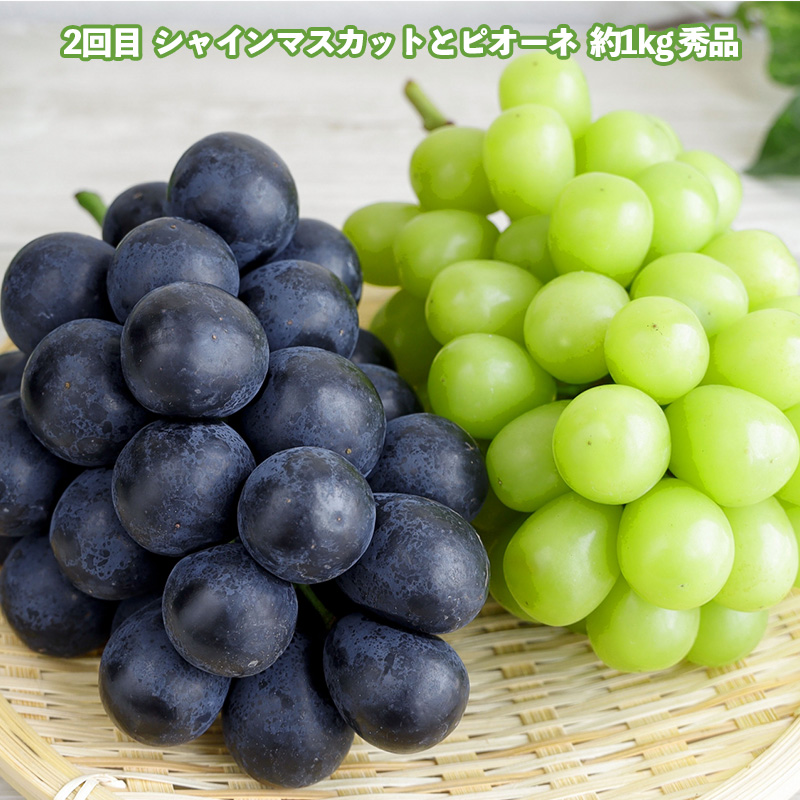 【定期便3回】どれも美味しい 山形フルーツ 贅沢5種便【令和8年産先行予約】FS25-122 くだもの 果物 フルーツ 山形 山形県 山形市 2026年産