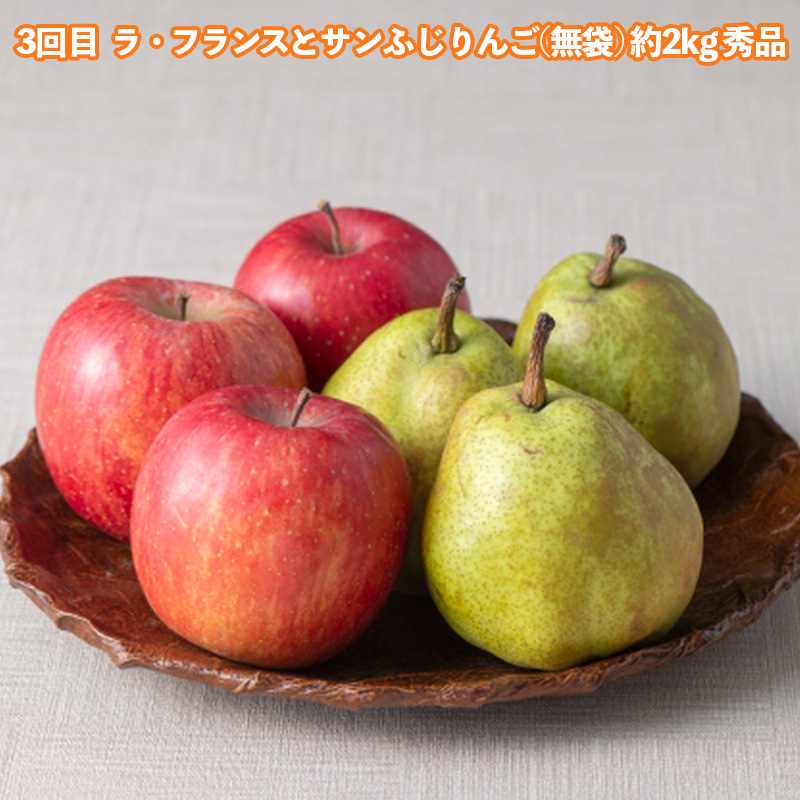 【定期便3回】どれも美味しい 山形フルーツ 贅沢5種便【令和8年産先行予約】FS25-122 くだもの 果物 フルーツ 山形 山形県 山形市 2026年産