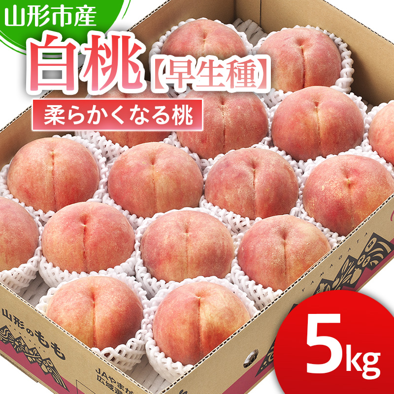 山形市産 白桃【早生種】「三郷・まどか・陽夏妃」柔らかくなる桃 5kg (13玉～18玉)【令和8年産先行予約】FS25-125 くだもの 果物 フルーツ 山形 山形県 山形市 2026年産