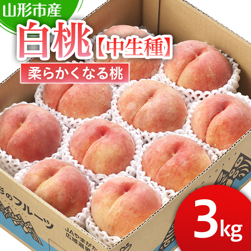 山形市産 白桃 【中生種】「かぐや・ゆうぞら・あぶくま」柔らかくなる桃3kg (8～11玉)【令和8年産先行予約】FS25-126 くだもの 果物 フルーツ 山形 山形県 山形市 2026年産