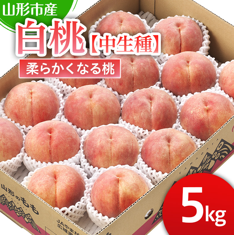 山形市産 白桃 【中生種】「かぐや・ゆうぞら・あぶくま」柔らかくなる桃5kg (13～18玉)【令和8年産先行予約】FS25-127 くだもの 果物 フルーツ 山形 山形県 山形市 2026年産