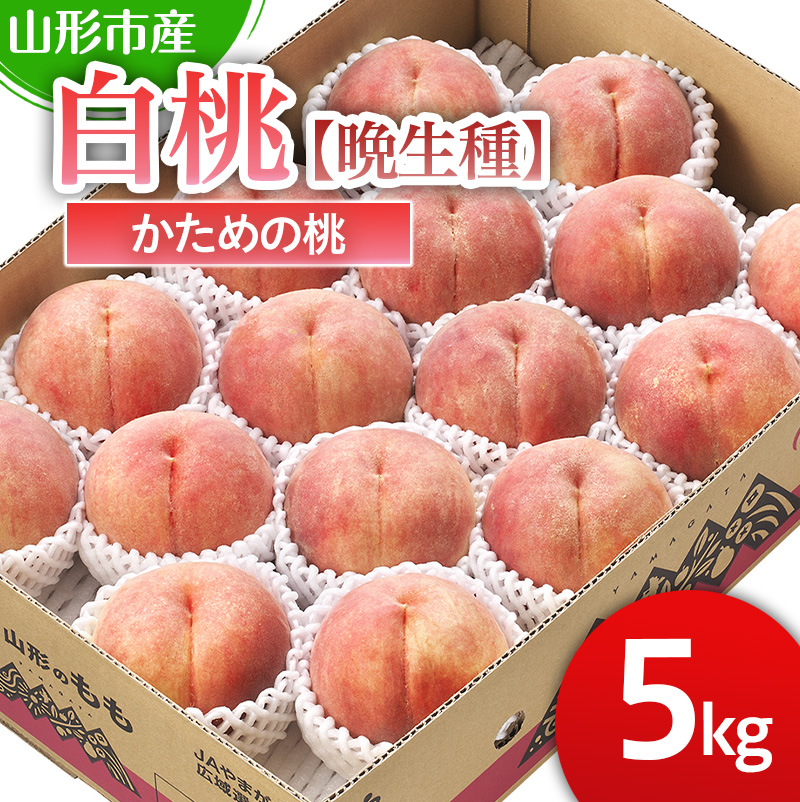 山形市産 白桃 【晩成種】「伊達白桃・白根白桃・伊達白桃」かための桃5kg 12～18玉【令和8年産先行予約】FS25-129 くだもの 果物 フルーツ 山形 山形県 山形市 2026年産