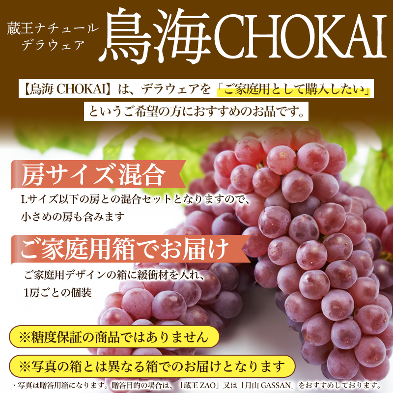 【鳥海 CHOKAI】蔵王ナチュールデラウェア 山形のデラウエア TAKUMI ORCHARD 99% ご家庭 M以上房サイズ混合 約3kg 山形 山形県 山形市 フルーツ 果物 くだもの 送料無料 ぶどう 葡萄 ブドウ デラウェア 減農薬【令和8年産先行予約】FS25-115