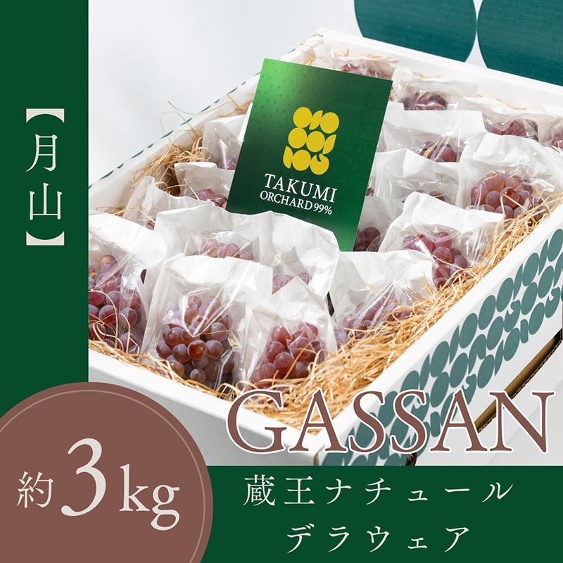 【月山 GASSAN】蔵王ナチュールデラウェア 山形のデラウエア TAKUMI ORCHARD 99% 贈答 L以上 約3kg 山形 山形県 山形市 フルーツ 果物 くだもの 送料無料 ぶどう 葡萄 ブドウ デラウェア 減農薬【令和8年産先行予約】FS25-114