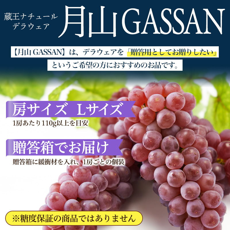 【月山 GASSAN】蔵王ナチュールデラウェア 山形のデラウエア TAKUMI ORCHARD 99% 贈答 L以上 約3kg 山形 山形県 山形市 フルーツ 果物 くだもの 送料無料 ぶどう 葡萄 ブドウ デラウェア 減農薬【令和8年産先行予約】FS25-114