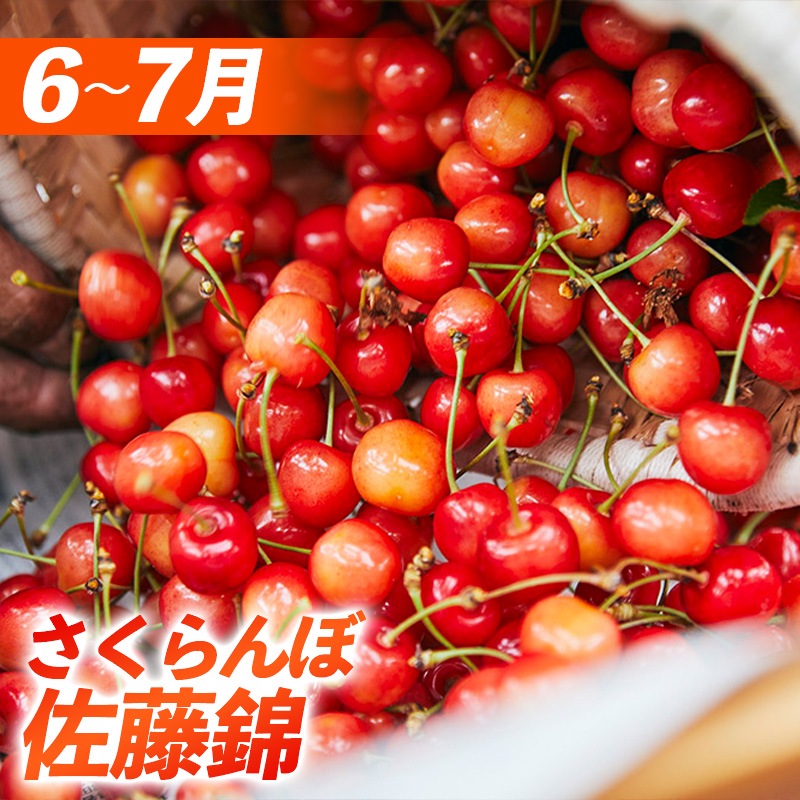 【定期便8回】8回届く！山形のう～まいもの堪能便 FZ24-090