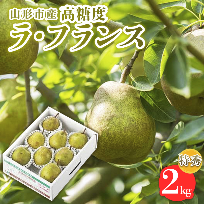 山形市産【高糖度ラフランス】特秀品 2kg (5～8玉) 極上フルーツ  洋梨 山形【令和8年産先行予約】FS24-820