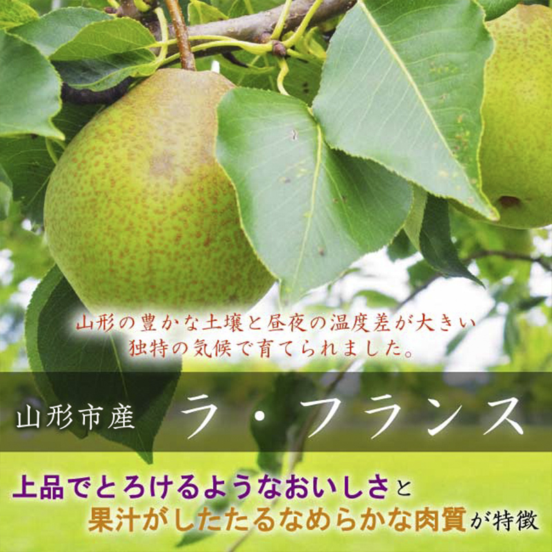 山形市産【高糖度ラフランス】特秀品 2kg (5～8玉) 極上フルーツ  洋梨 山形【令和8年産先行予約】FS24-820