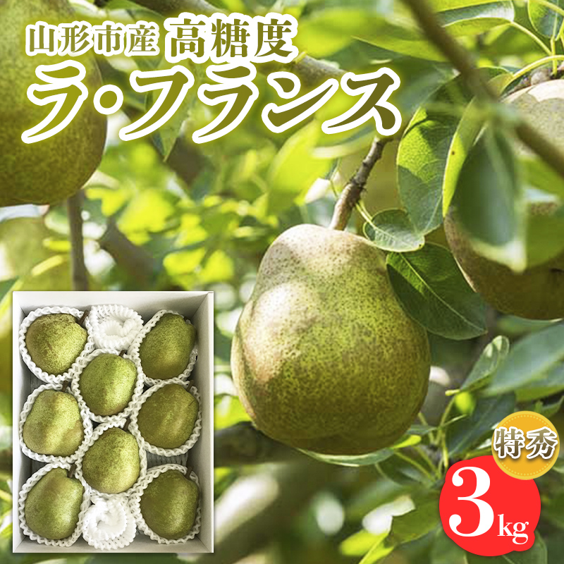 山形市産【高糖度ラフランス】特秀品 3kg (6～10玉) 極上フルーツ  洋梨 山形【令和8年産先行予約】FS24-821