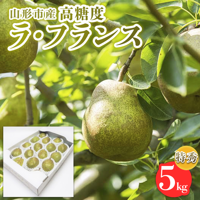 山形市産【高糖度ラフランス】特秀品 5kg (10～18玉)  極上フルーツ  洋梨 山形【令和8年産先行予約】FS24-822