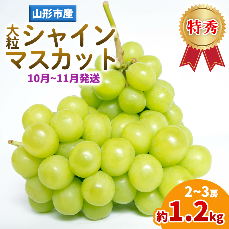 山形産 大粒シャインマスカット 約1.2ｋg(2～3房)(10～11月発送分) FY25-283
