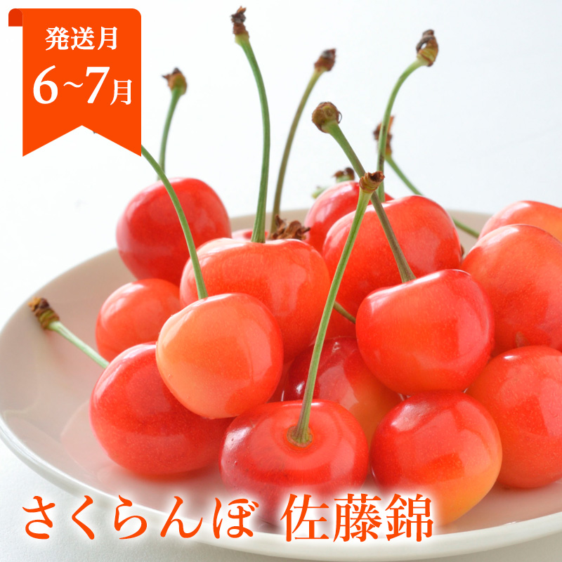 定期便5回】山形まるごと！人気のくだものベスト5 FZ25-958