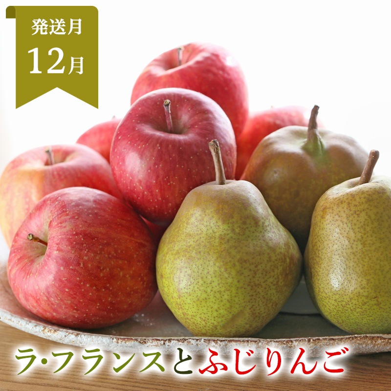 定期便5回】山形まるごと！人気のくだものベスト5 FZ25-958