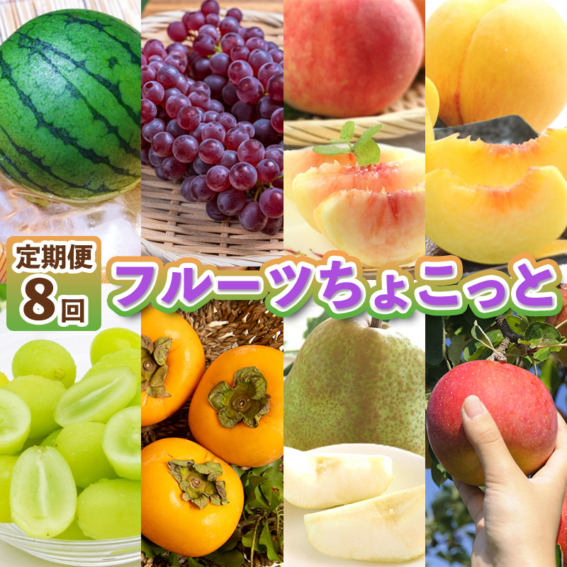 【定期便8回】フルーツちょこっと【令和8年産先行予約】FS25-137
