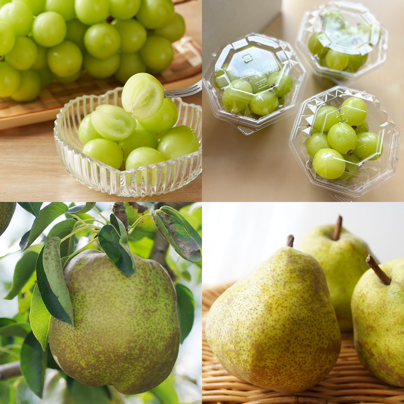 【定期便4回】山形人気フルーツベスト4！ お福分け定期便パート2【令和8年産先行予約】FS25-131