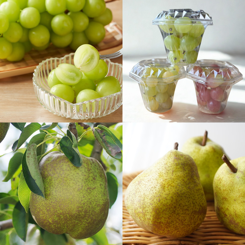 【定期便4回】山形人気フルーツベスト4！ お福分け定期便パート3【令和8年産先行予約】FS25-132