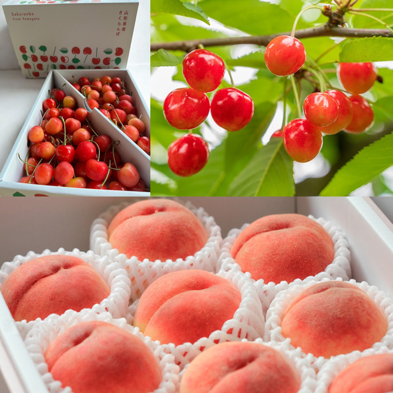 【定期便4回】やまがた美味しい果物 旬便り定期便【令和8年産先行予約】FS25-133