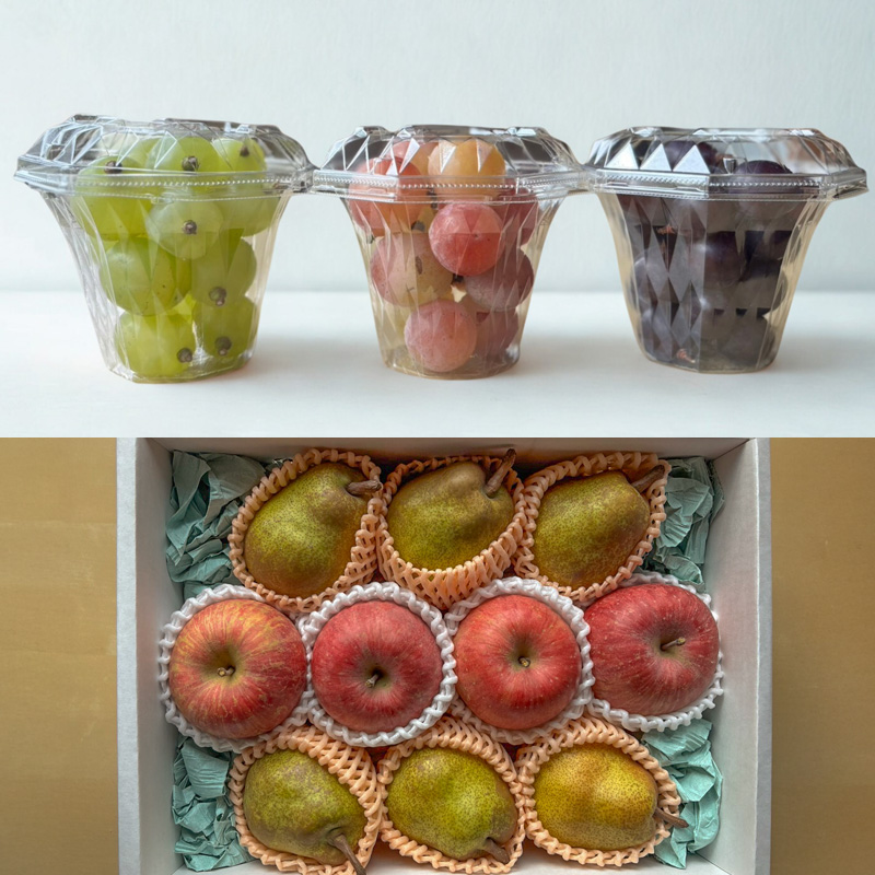 【定期便4回】やまがた美味しい果物 旬便り定期便【令和8年産先行予約】FS25-133