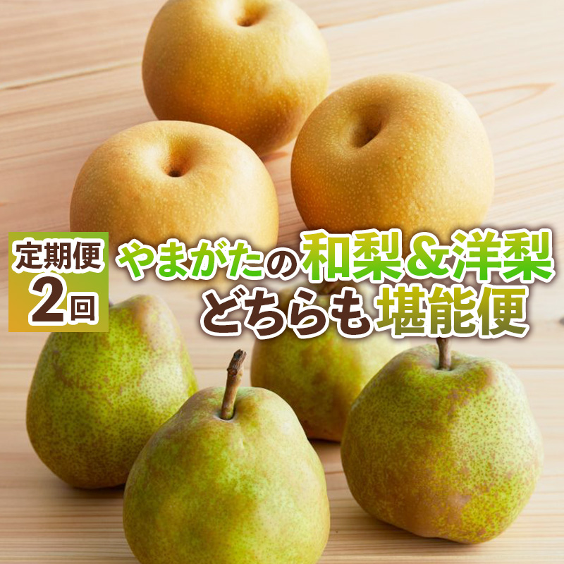 【定期便2回】やまがたの和梨＆洋梨どちらも堪能便【令和8年産先行予約】FS25-138