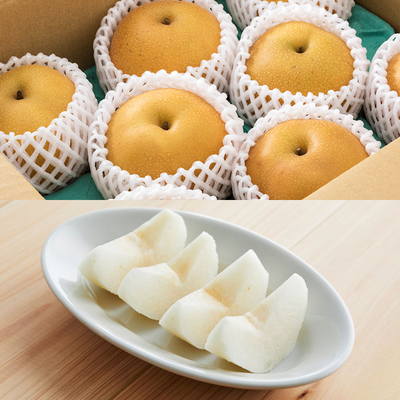 【定期便2回】やまがたの和梨＆洋梨どちらも堪能便【令和8年産先行予約】FS25-138