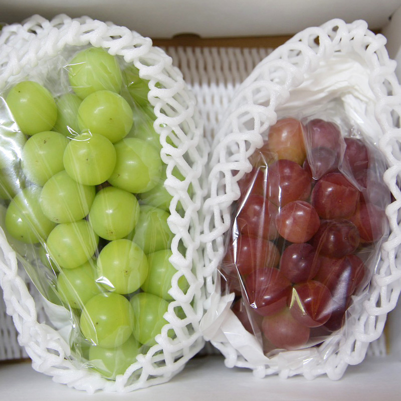 【定期便3回】山形が育んだおいしい果物 豪華２種類の詰め合わせ定期便【令和8年産先行予約】FS25-139