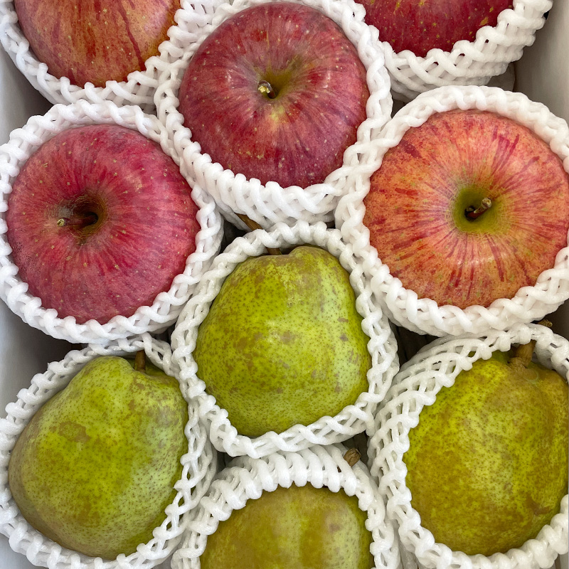 【定期便3回】山形が育んだおいしい果物 豪華２種類の詰め合わせ定期便【令和8年産先行予約】FS25-139