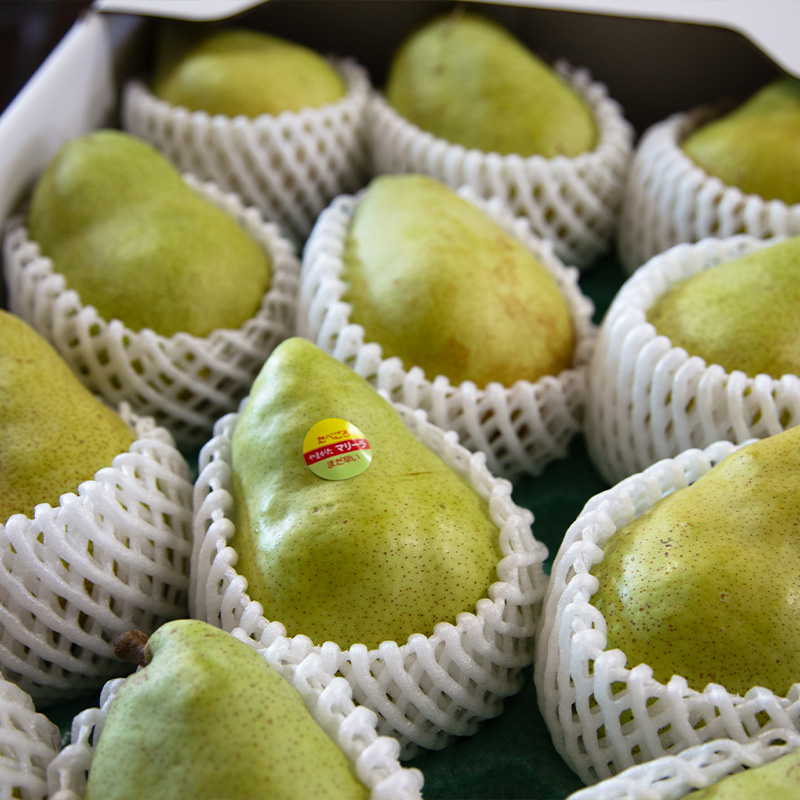 【定期便2回】やまがた洋梨 マリゲットマリーラ＆ラフランス食べ比べ定期便【令和8年産先行予約】FS25-140