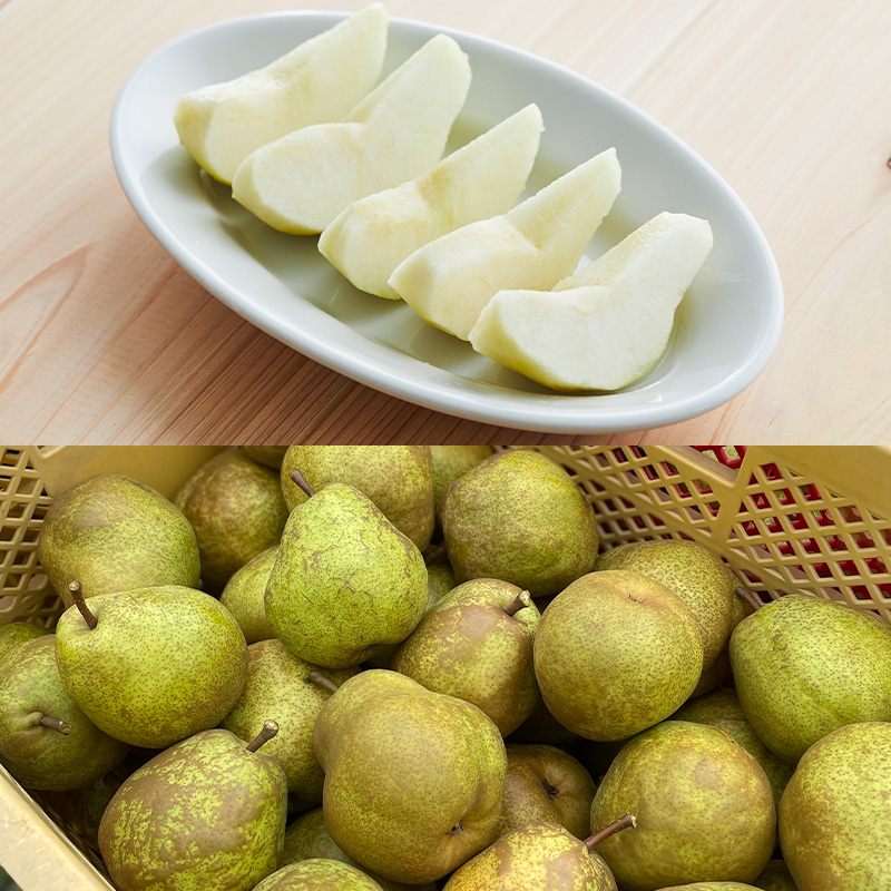 【定期便2回】やまがた洋梨 マリゲットマリーラ＆ラフランス食べ比べ定期便【令和8年産先行予約】FS25-140