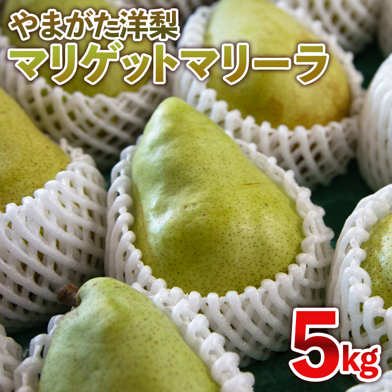 やまがた洋梨 マリゲットマリーラ 5kg【令和8年産先行予約】FS25-142