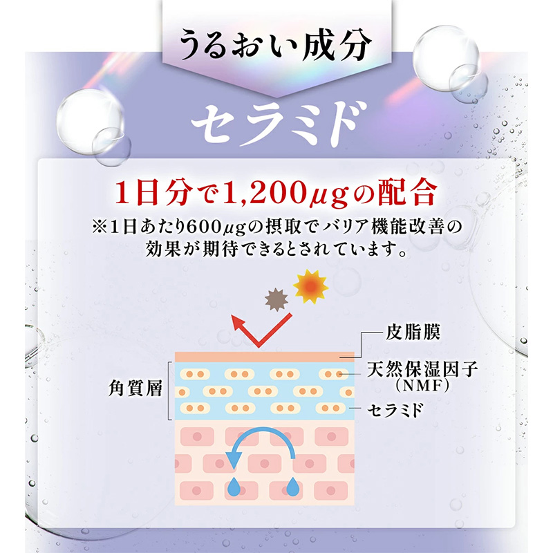 オールインワンコラーゲン 120g 2個セット FY25-416