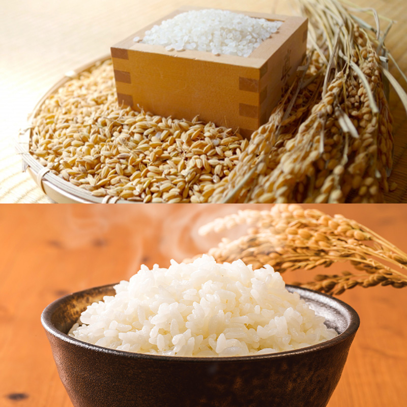 食卓応援企画！★数量限定★特別栽培米 つや姫5kgと雪若丸5kgのセット FY25-438