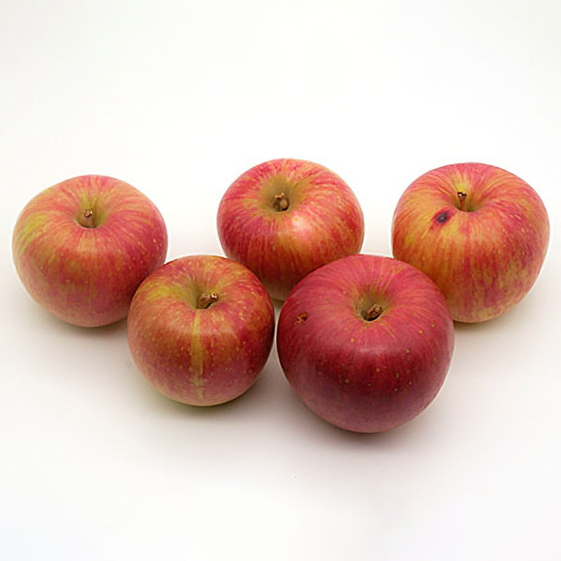 ★フルーツ王国山形★【ご家庭用】小玉サンふじりんご(無袋) 優品 約5kg(玉数おまかせ)【1月発送】 FY25-439