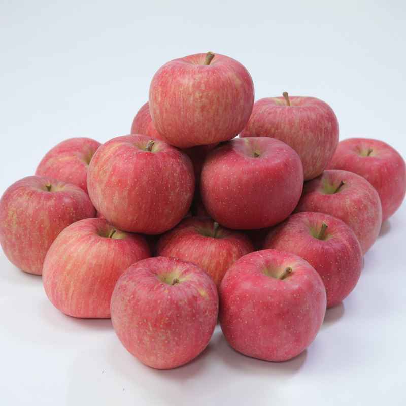 ★フルーツ王国山形★【ご家庭用】小玉サンふじりんご(無袋) 優品 約5kg(玉数おまかせ)【1月発送】 FY25-439