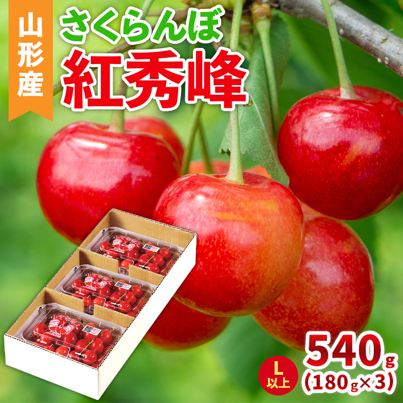 山形産 さくらんぼ(紅秀峰) L以上 540g(180g×3パック) 【令和8年産先行予約】FS25-041