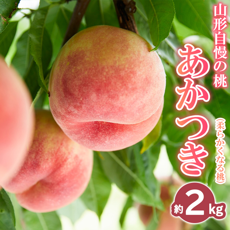 山形自慢の桃 【あかつき】 約2kg【令和8年産先行予約】FS25-072