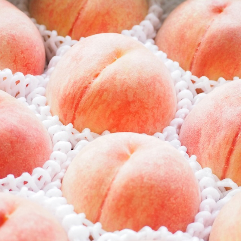 山形自慢の桃 【あかつき】 約2kg【令和8年産先行予約】FS25-072