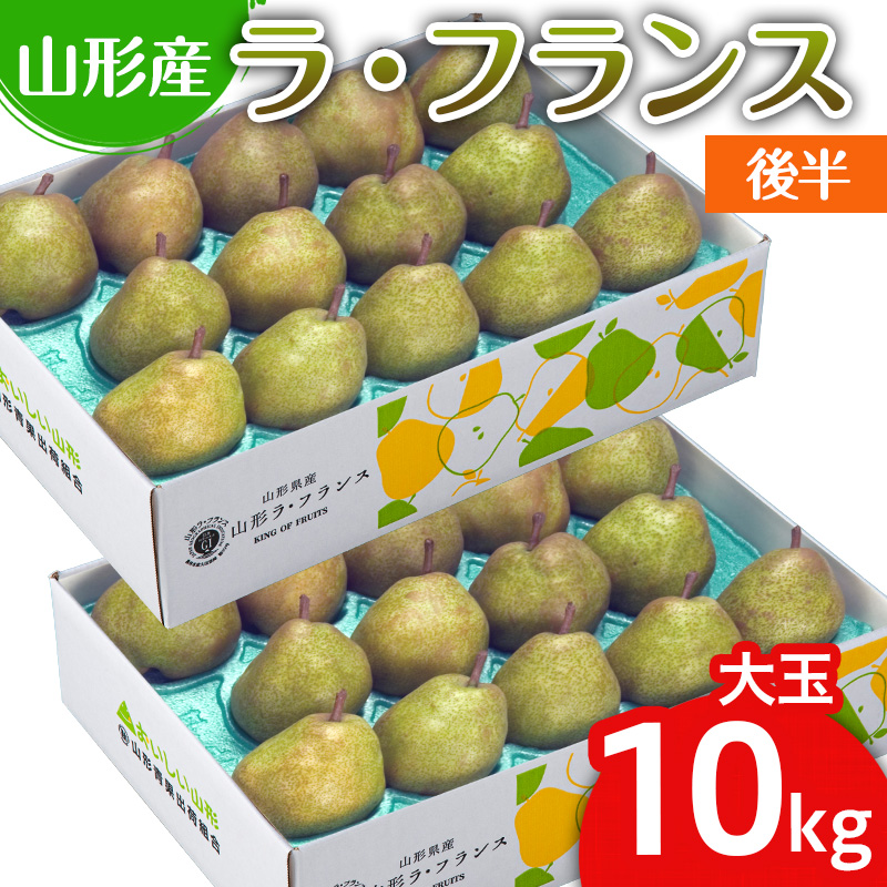 山形のラ・フランス大玉 10kg(20～28玉) 後半【令和8年産先行予約】FS25-748