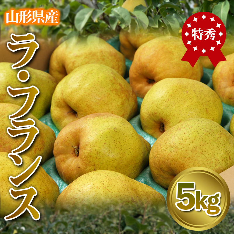 ★食べ頃出荷★山形県産 「ラ・フランス」 特秀品 5kg (12～20玉) 洋梨 ラフランス 山形【令和8年産先行予約】FS24-819
