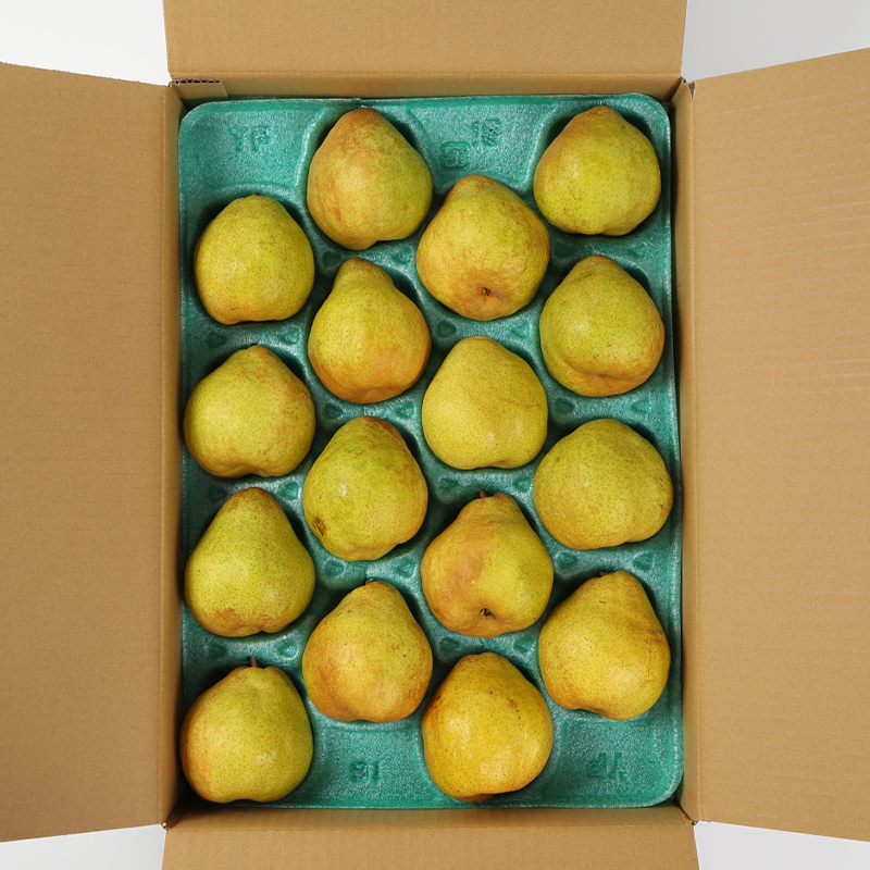 ★食べ頃出荷★山形県産 「ラ・フランス」 特秀品 5kg (12～20玉) 洋梨 ラフランス 山形【令和8年産先行予約】FS24-819