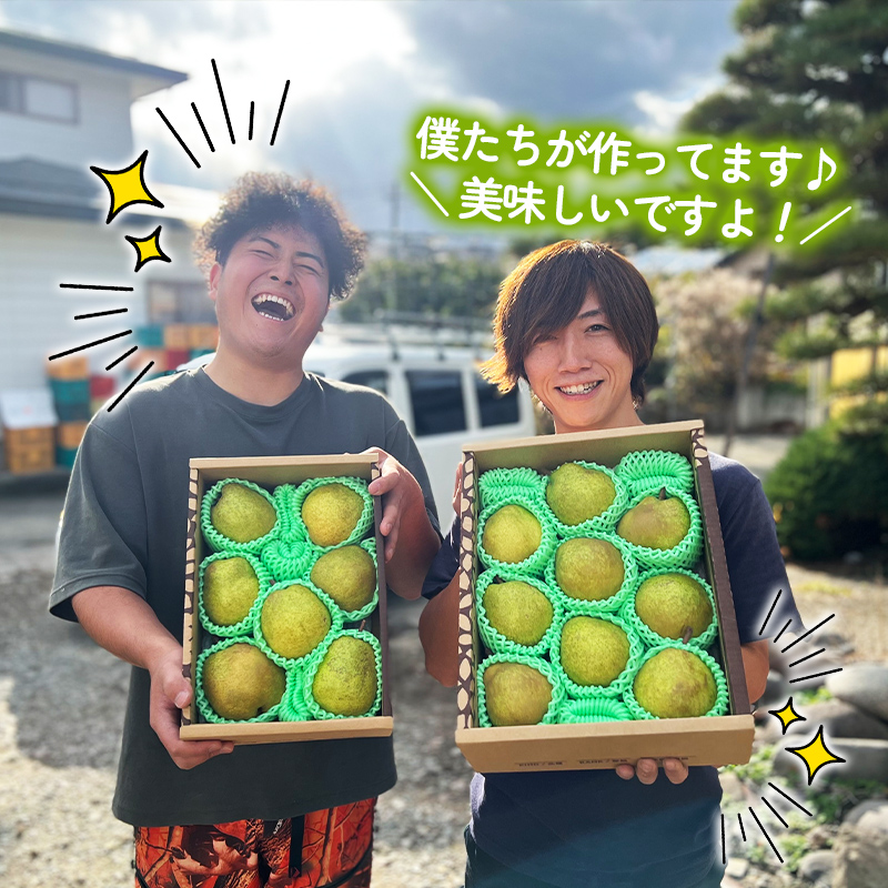 ★食べ頃出荷★山形県産 「ラ・フランス」 特秀品 5kg (12～20玉) 洋梨 ラフランス 山形【令和8年産先行予約】FS24-819