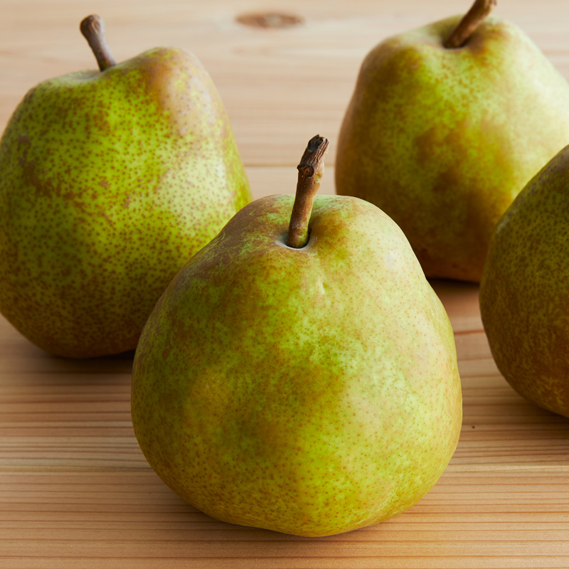 西洋なしの女王「山形ラフランス」5kg【令和8年産先行予約】FS18-787