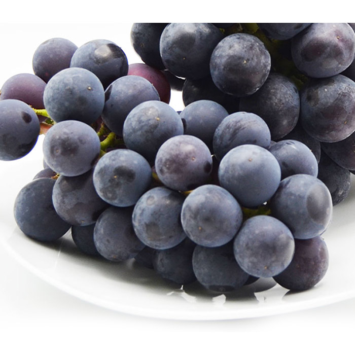 【ご家庭用】山形のピオーネ 優品 約2kg(2～6房)[9月お届け] 【令和8年産先行予約】FS23-645 くだもの 果物 フルーツ 山形 山形県 山形市 2026年産