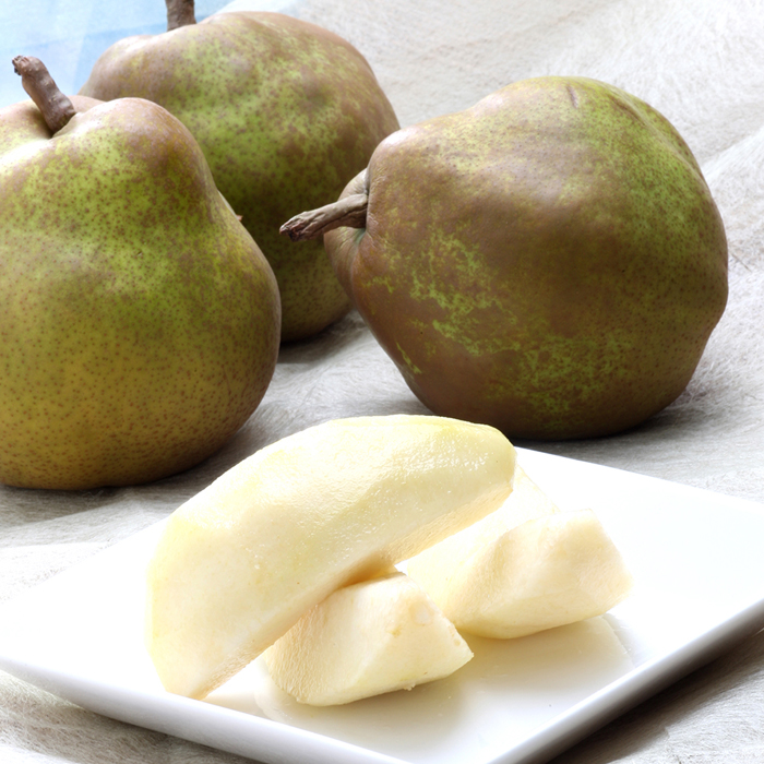 山形のラ・フランス 秀 約3kg(6～9玉 3L～6L)[11月発送]【令和8年産先行予約】FS25-778