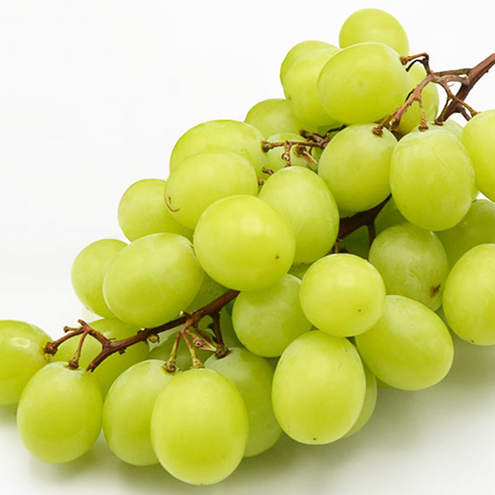 【ご家庭用】山形のシャインマスカット 優品 1房 約500g[10月中旬～11月中旬お届け] 【令和8年産先行予約】FS23-649 くだもの 果物 フルーツ 山形 山形県 山形市 2026年産