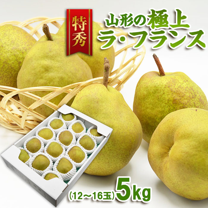 【特秀】山形の極上 ラフランス 特秀品 約5kg(12～16玉)[12月お届け]【令和8年産先行予約】FS25-781